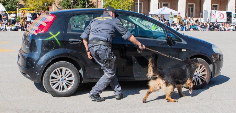 Guardia di Finanza, unità cinofile Siena